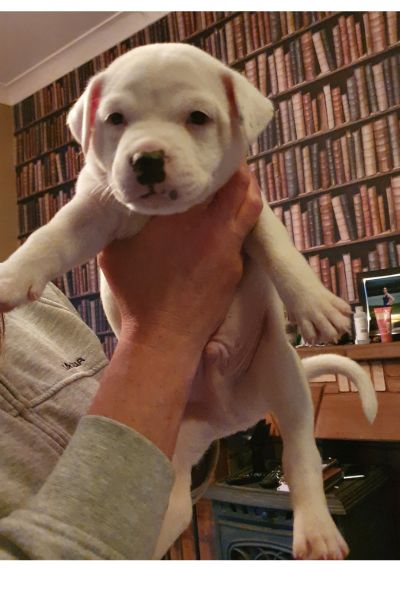 Codis first photo