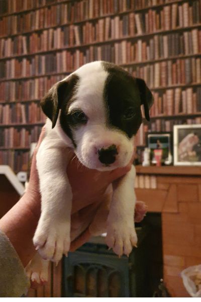 Reos first photo