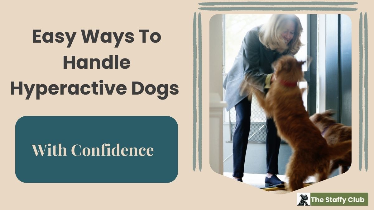 photo of a woman entering the front door being greeted with one calm dog with four paws on the floor and the other jumping up in excitement to greet someone. The text accompanying the photo is the title of the blog post.