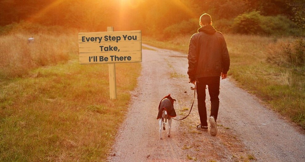 dog walking with owner on a country road with a sign placed by the roadside that reads: 