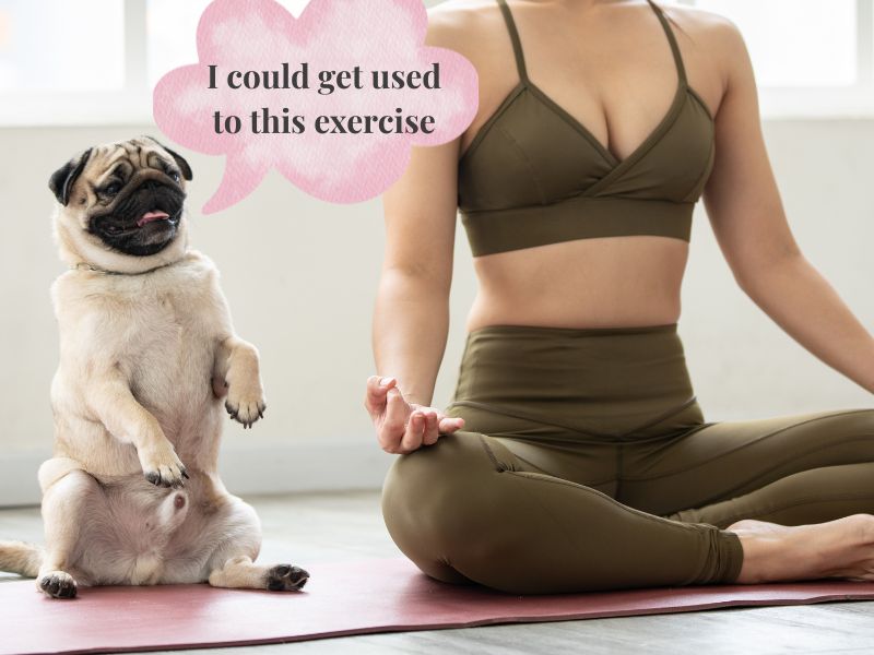 woman and dog doing yoga together